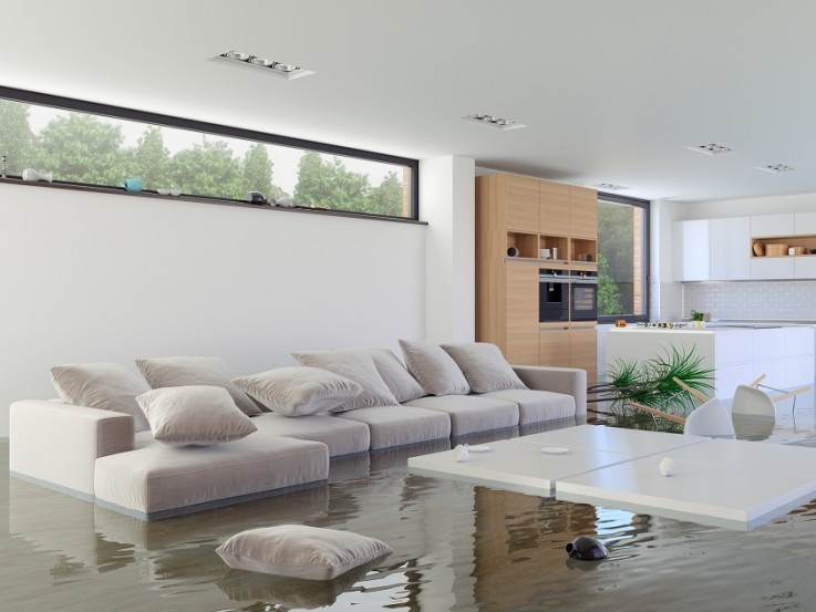 Flooded Lounge More than 50% of homeowners have suffered water damage, study reveals