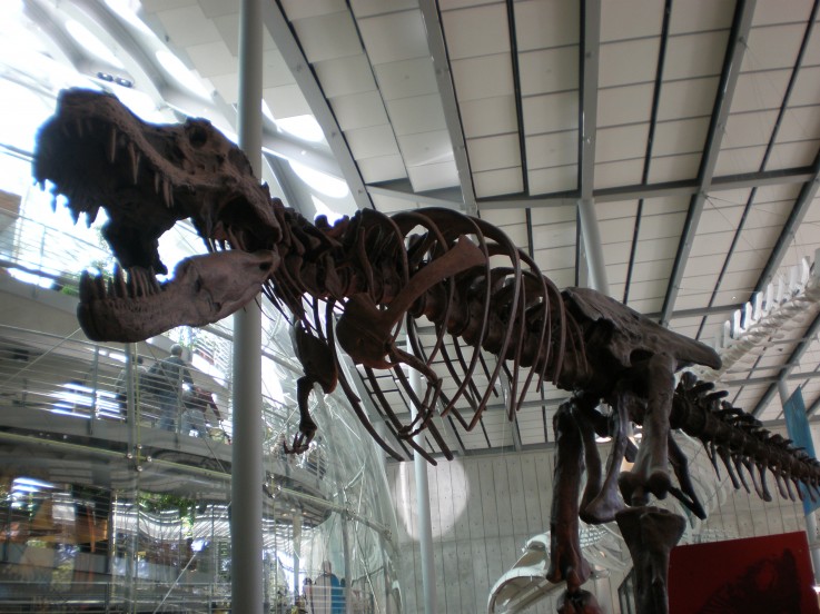 T-Rex Andrews Sykes provide climate control for world’s rarest dinosaur exhibit
