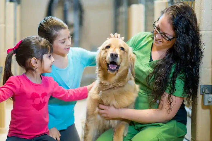 Andrews provide the UK's most famous animals shelter with emergency cooling equipment
