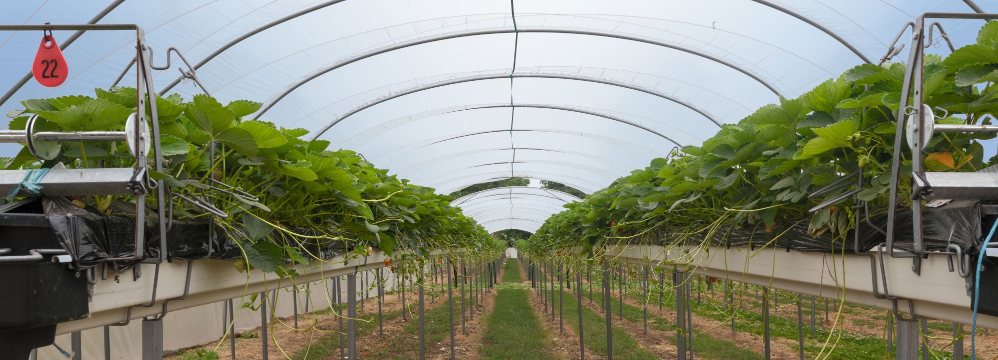 Air Conditioning Solutions for Agriculture & Farms