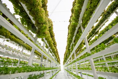 Air Conditioning Solutions for Agriculture & Farms