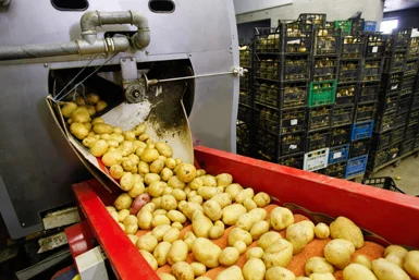 Air Conditioning Solutions for Agriculture & Farms