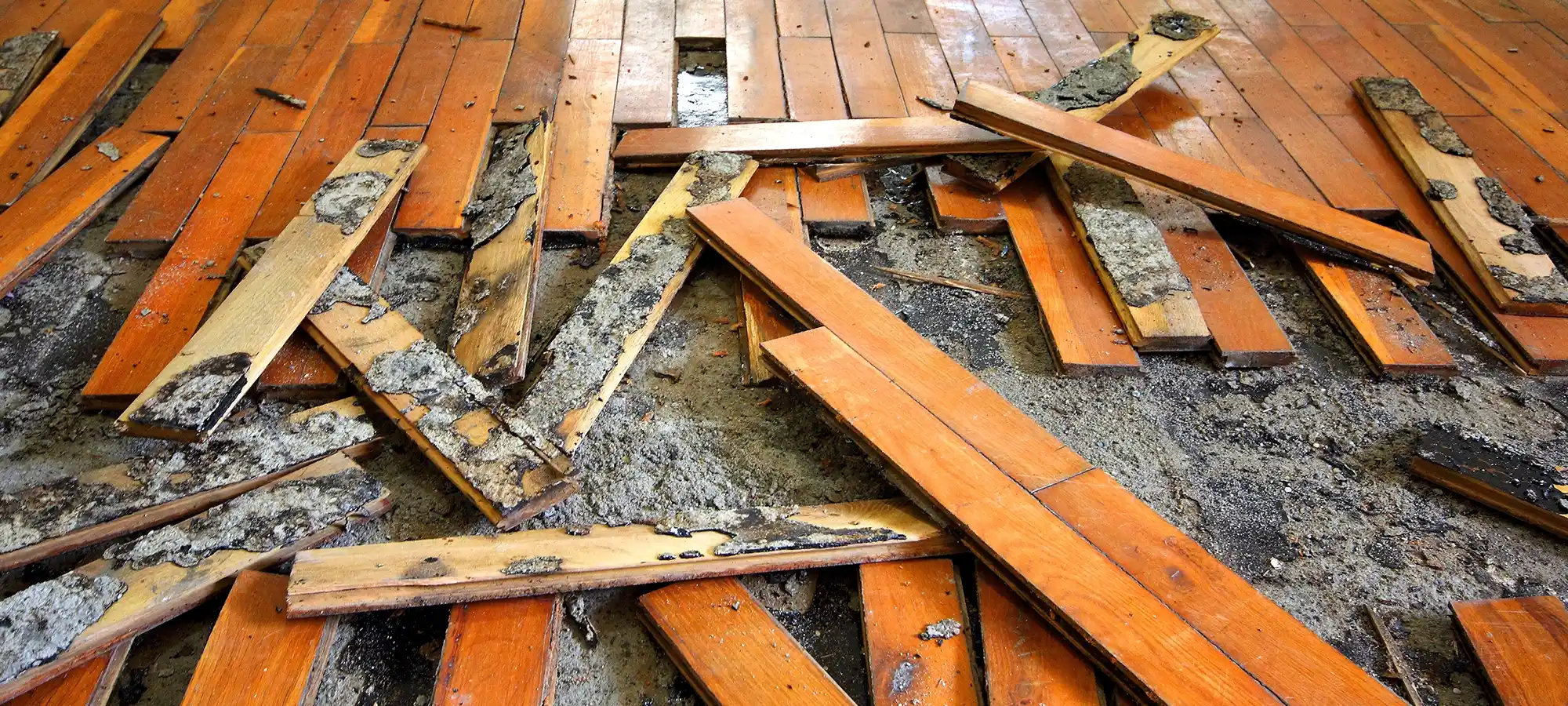 Dehumidification Solution for Water Damage
