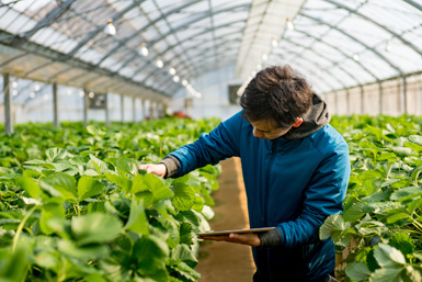 Dehumidification Solution for Agriculture & Farms
