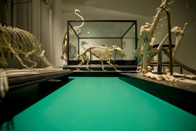 Dehumidification Solution for Art Galleries & Museums - Creating Desired Conditions