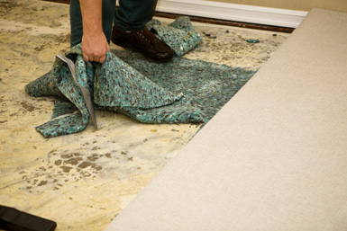 Dehumidification Solution for Facilities Management - Flood Damage