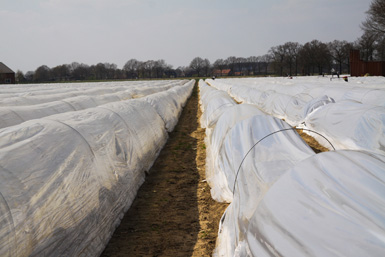 Heating Solutions for Agriculture
