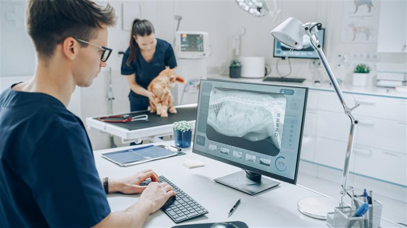 AC hire solutions for pet clinics