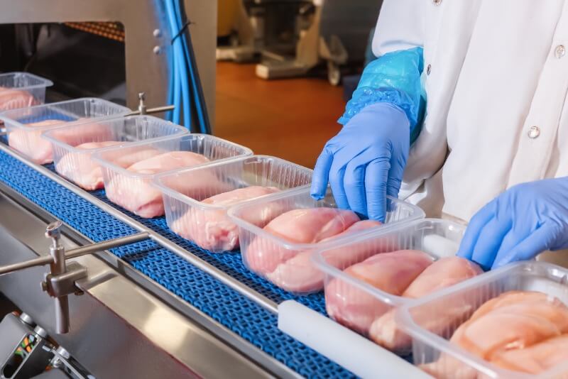 Conveyor belt in meat production facility highlighting poultry processing and the importance of cooling systems