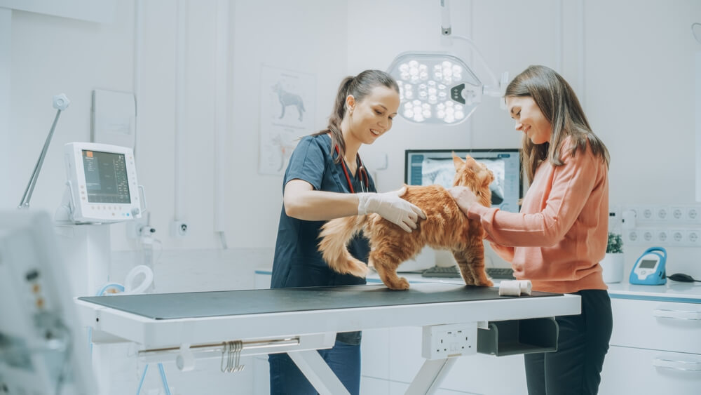 Cool environment for Veterinary Clinics Hire Air Conditioner